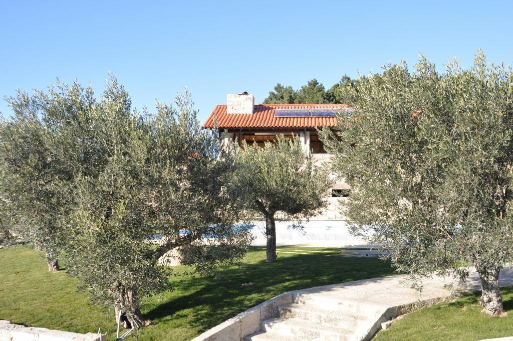 Affittacamere Quinta do Olival Vilas Boas  Esterno foto