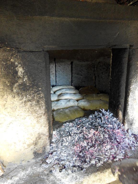Affittacamere Quinta do Olival Vilas Boas  Esterno foto